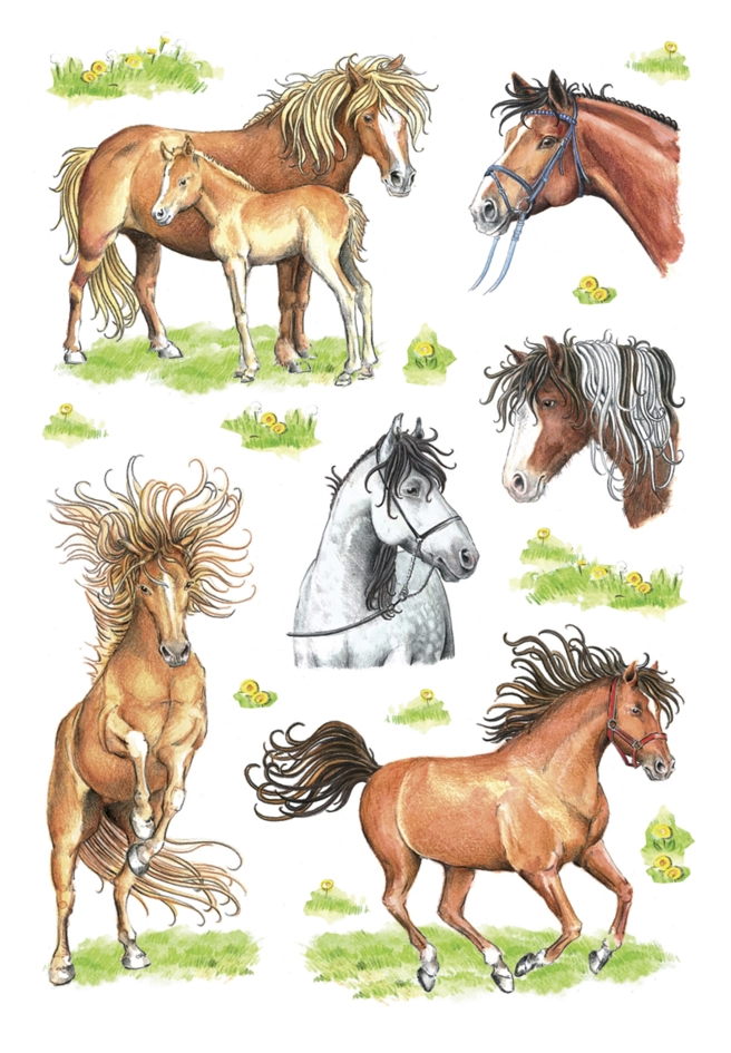 Een "herma sticker decor ""paardenfotos"" " koop je bij NiceSupplies.nl