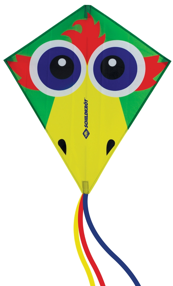 Een "schildkrot lenkdrache classic kite 70 ""crazy bird"" " koop je bij NiceSupplies.nl