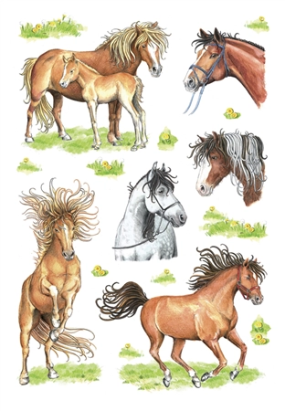 Een "herma sticker decor ""paardenköpfe"" " koop je bij NiceSupplies.nl