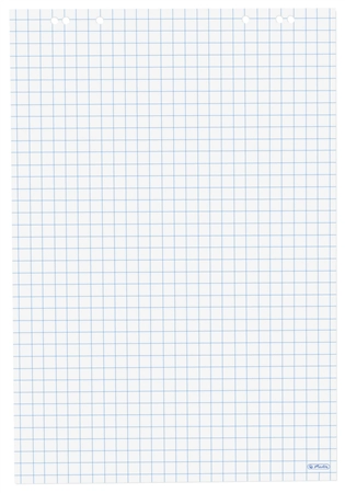 Een herlitz flipoverblok 20 blad ruit 680x990mm koop je bij NiceSupplies.nl