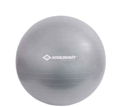 Een schildkrot gymnastikbal diameter: 550 mm zilver koop je bij NiceSupplies.nl