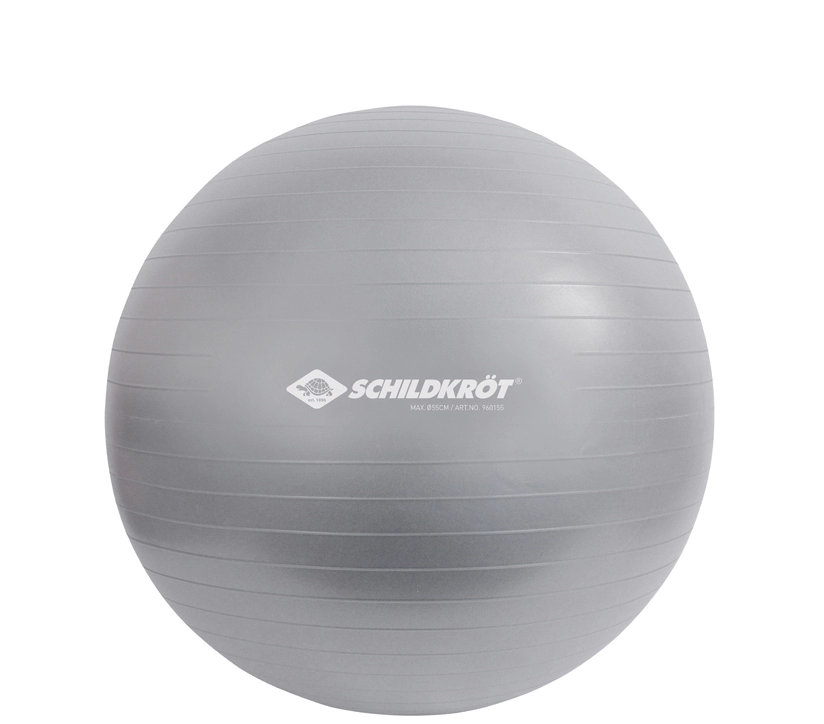 Een schildkrot gymnastikbal diameter: 750 mm antraciet koop je bij NiceSupplies.nl